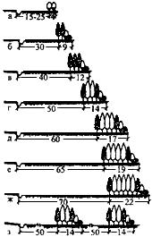 ������������� ����������