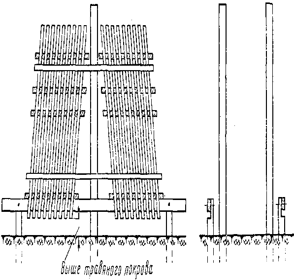 ���� �� �������